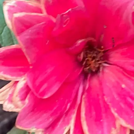 Апартаменты 4 Mit Gemeinsam Dusche Und Kueche Майнц